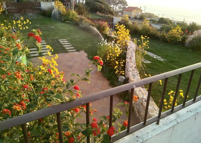 Peregrinos A Casa Alicia Rosal